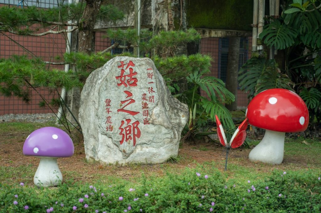 豐年農場 (2)